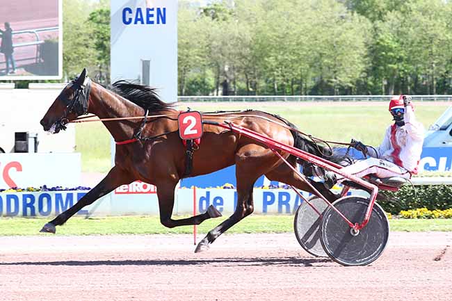 Photo d'arrivée de la course pmu PRIX DE CAMBREMER à CAEN le Mercredi 19 mai 2021
