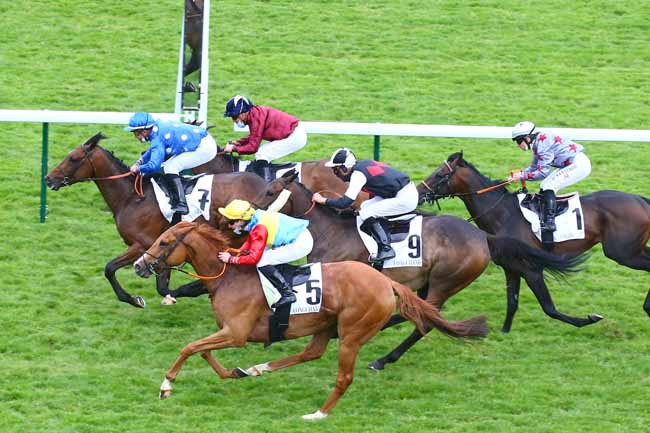 Photo d'arrivée de la course pmu PRIX DU CROULE-BARBE à LONGCHAMP le Jeudi 20 mai 2021