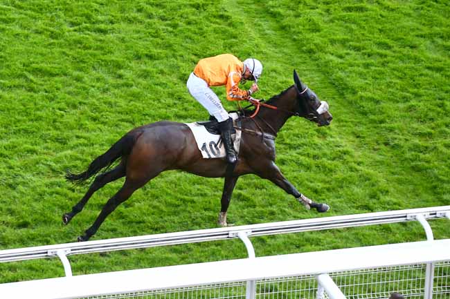 Photo d'arrivée de la course pmu PRIX PRETENTAINE à AUTEUIL le Samedi 22 mai 2021