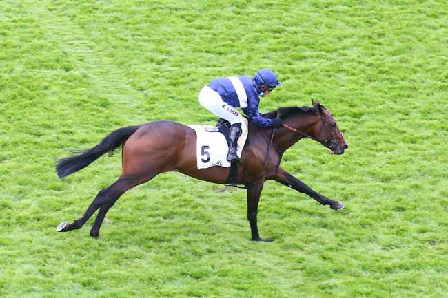 Photo d'arrivée de la course pmu PRIX STANLEY à AUTEUIL le Dimanche 23 mai 2021