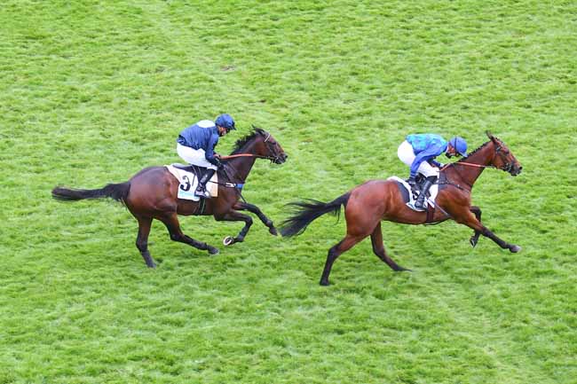 Photo d'arrivée de la course pmu PRIX LE PARISIEN - PRIX WILD RISK à AUTEUIL le Dimanche 23 mai 2021