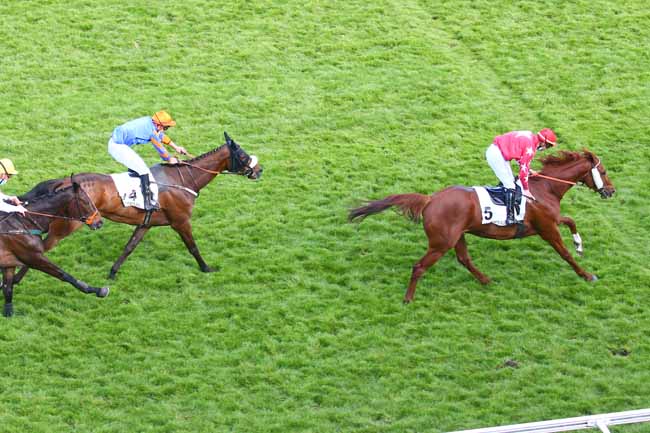 Photo d'arrivée de la course pmu PRIX TANERKO à AUTEUIL le Dimanche 23 mai 2021