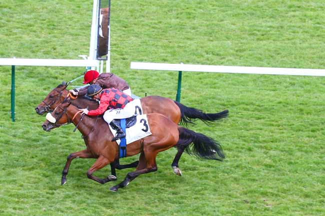 Photo d'arrivée de la course pmu PRIX DES JEUXDIS à LONGCHAMP le Jeudi 27 mai 2021
