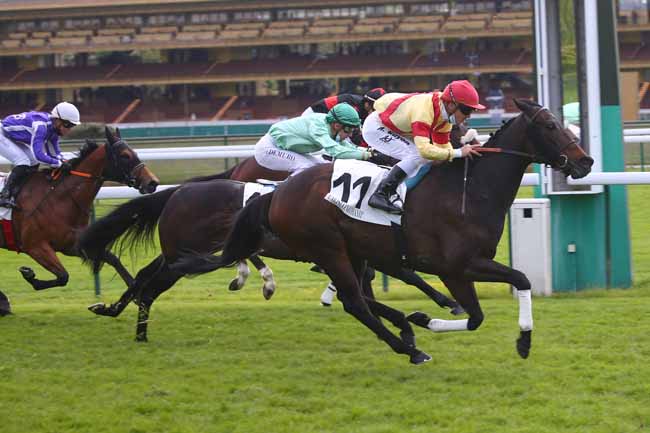 Photo d'arrivée de la course pmu PRIX DU HARAS ROYAL DE MEUDON à LONGCHAMP le Jeudi 27 mai 2021