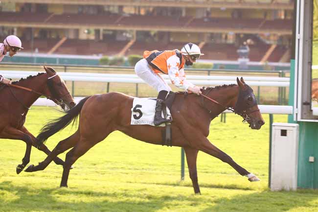 Photo d'arrivée de la course pmu PRIX DU CEDRE à LONGCHAMP le Jeudi 27 mai 2021