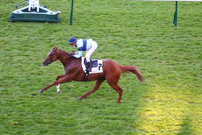 Photo d'arrivée de la course pmu PRIX DU CHAMP DE MARS à LONGCHAMP le Jeudi 27 mai 2021