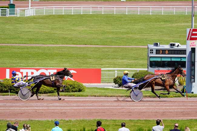 Photo d'arrivée de la course pmu PRIX DE SARE à ENGHIEN le Samedi 29 mai 2021