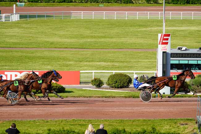 Photo d'arrivée de la course pmu PRIX DE LA VIENNE à ENGHIEN le Samedi 29 mai 2021