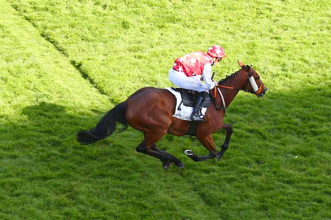 Photo d'arrivée de la course pmu PRIX GOPAL à AUTEUIL le Samedi 29 mai 2021