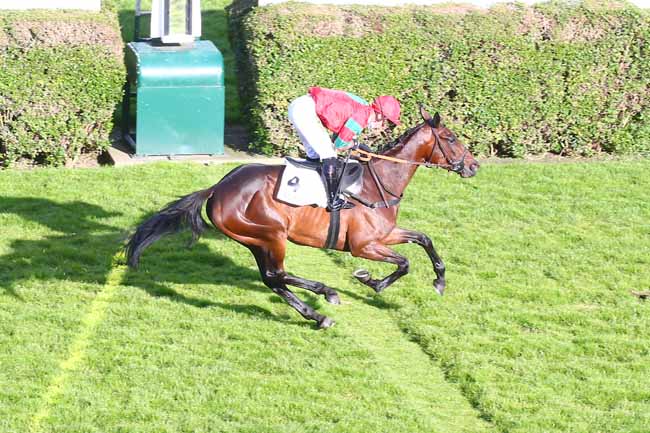Photo d'arrivée de la course pmu PRIX SAMOUR à AUTEUIL le Samedi 29 mai 2021