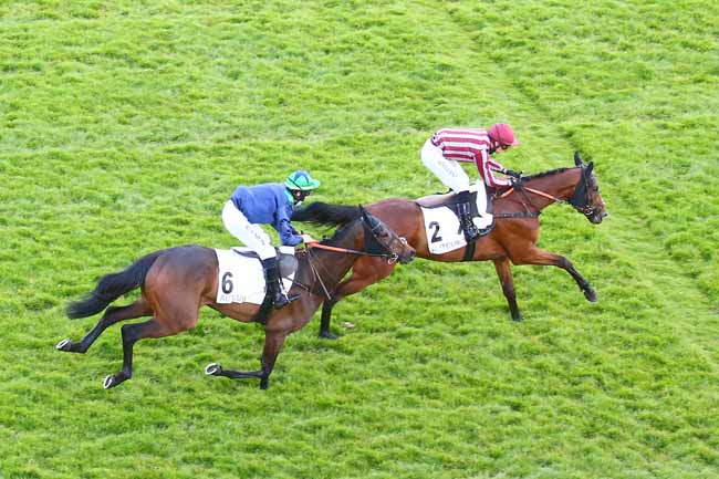 Photo d'arrivée de la course pmu PRIX DE LA MUETTE à AUTEUIL le Samedi 29 mai 2021