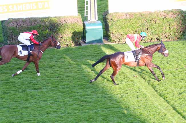 Photo d'arrivée de la course pmu PRIX ARISTOTE à AUTEUIL le Samedi 29 mai 2021