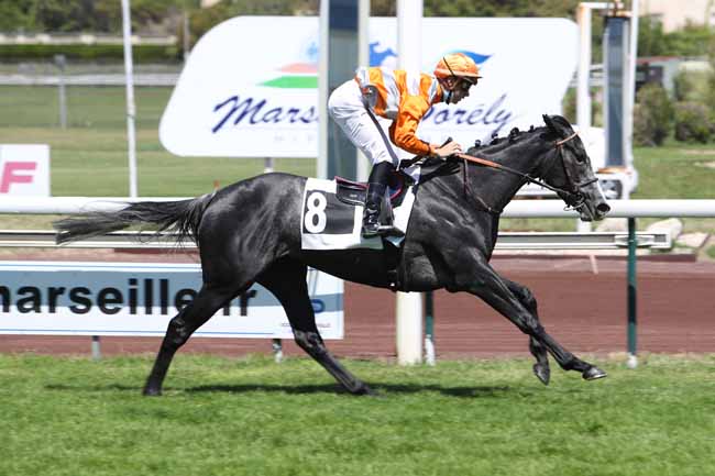 Photo d'arrivée de la course pmu PRIX GEORGES TRABAUD à MARSEILLE-BORELY le Lundi 31 mai 2021