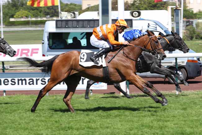 Photo d'arrivée de la course pmu PRIX DES GLYCINES à MARSEILLE-BORELY le Lundi 31 mai 2021