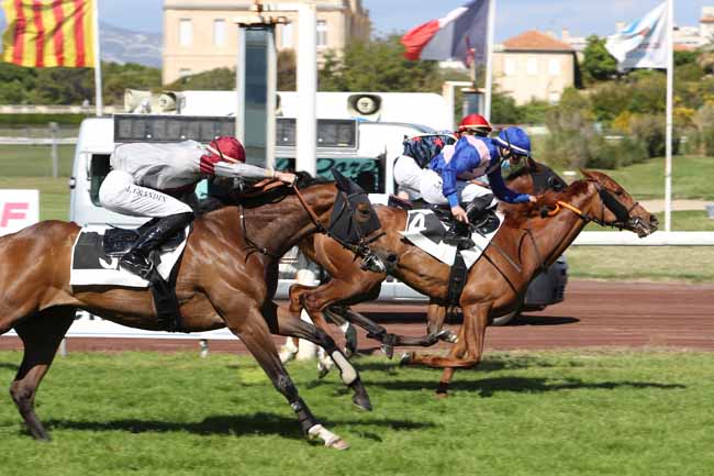 Photo d'arrivée de la course pmu PRIX DU ROVE à MARSEILLE-BORELY le Lundi 31 mai 2021