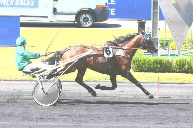 Photo d'arrivée de la course pmu PRIX IPHIGENIA à PARIS-VINCENNES le Mardi 1 juin 2021