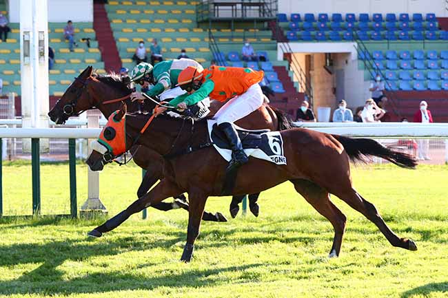 Photo d'arrivée de la course pmu PRIX LE BOUIF à COMPIEGNE le Mardi 1 juin 2021