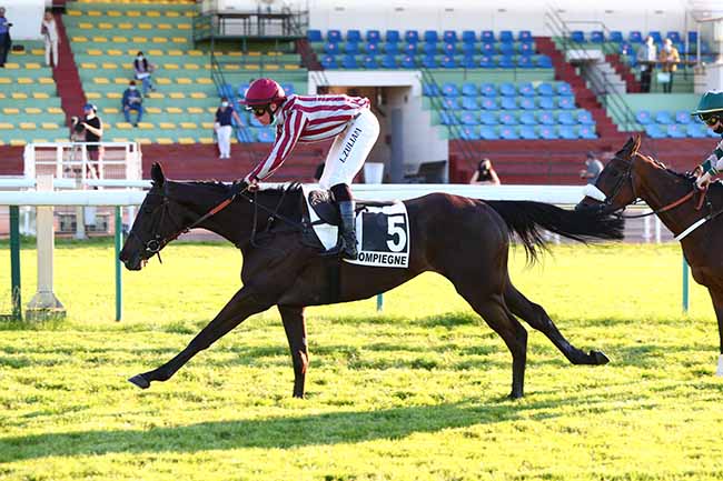 Photo d'arrivée de la course pmu PRIX OUISTREHAM à COMPIEGNE le Mardi 1 juin 2021