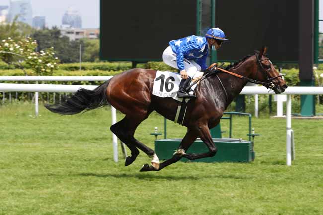 Photo d'arrivée de la course pmu PRIX MAGIC NIGHT à SAINT-CLOUD le Mercredi 2 juin 2021