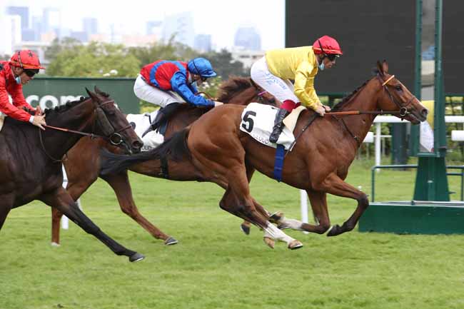 Photo d'arrivée de la course pmu PRIX DE BERNAY à SAINT-CLOUD le Mercredi 2 juin 2021