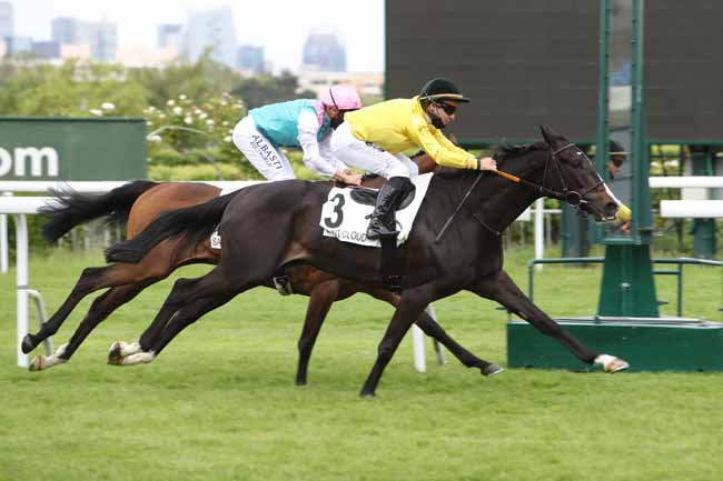 Photo d'arrivée de la course pmu PRIX RELIANCE à SAINT-CLOUD le Mercredi 2 juin 2021