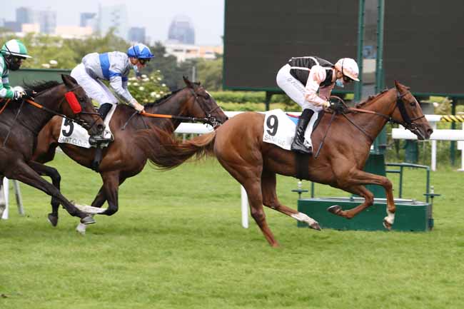 Photo d'arrivée de la course pmu PRIX GEORGE STERN à SAINT-CLOUD le Mercredi 2 juin 2021