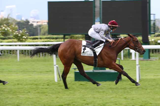 Photo d'arrivée de la course pmu PRIX CARLING à SAINT-CLOUD le Mercredi 2 juin 2021