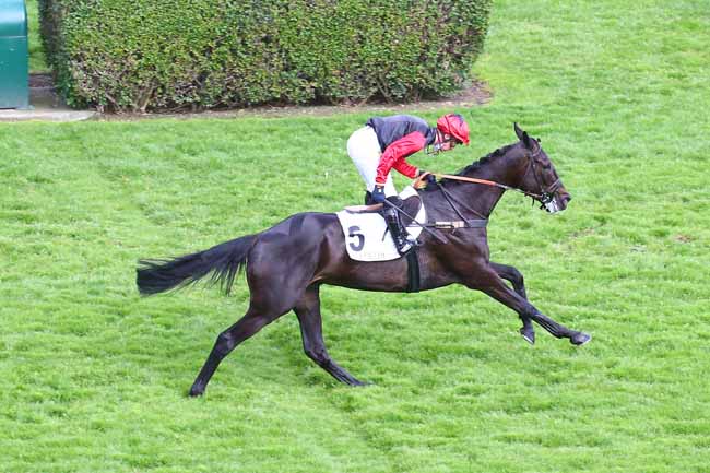 Photo d'arrivée de la course pmu PRIX JEAN VICTOR à AUTEUIL le Samedi 5 juin 2021