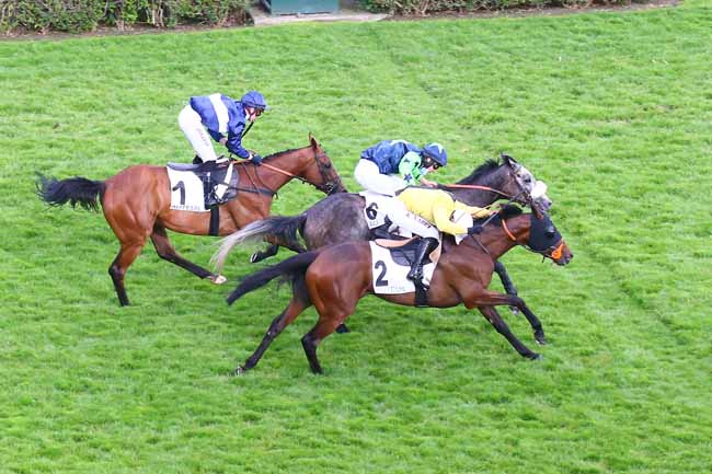 Photo d'arrivée de la course pmu PRIX DU BOULONNAIS à AUTEUIL le Samedi 5 juin 2021