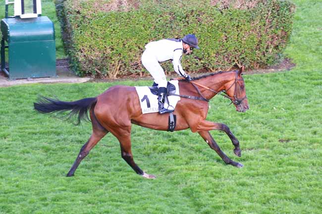 Photo d'arrivée de la course pmu PRIX JAMES HENNESSY à AUTEUIL le Samedi 5 juin 2021