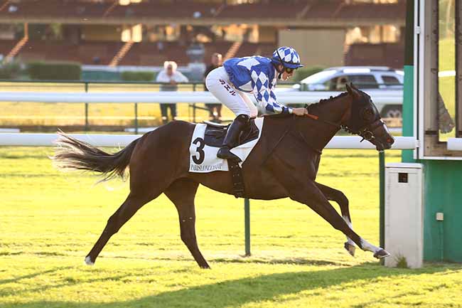 Photo d'arrivée de la course pmu PRIX DE L'AVENIR à LONGCHAMP le Jeudi 10 juin 2021