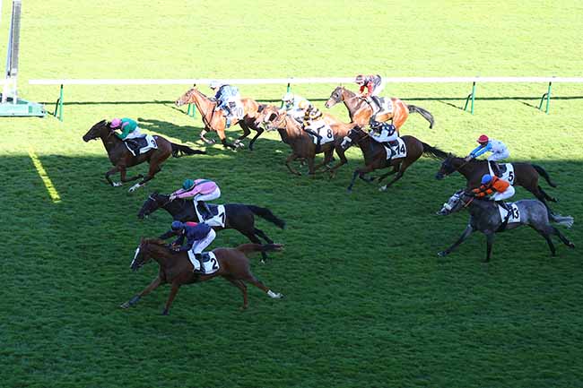 Photo d'arrivée de la course pmu PRIX DE L'ETANG DE BOULOGNE à LONGCHAMP le Dimanche 13 juin 2021