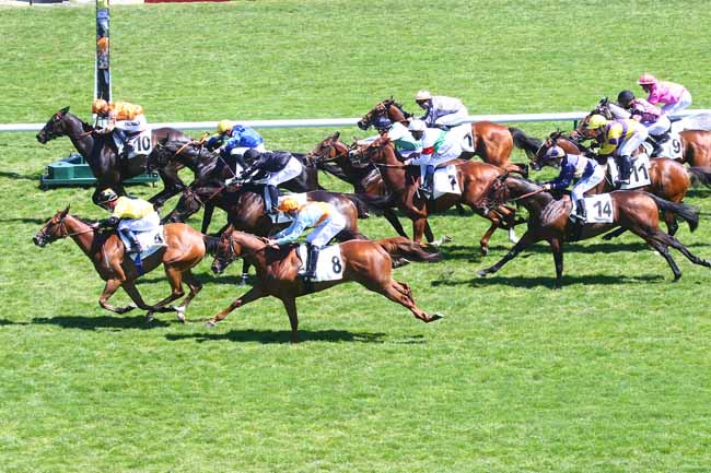 Photo d'arrivée de la course pmu PRIX MAJOR FRIDOLIN à LONGCHAMP le Dimanche 13 juin 2021