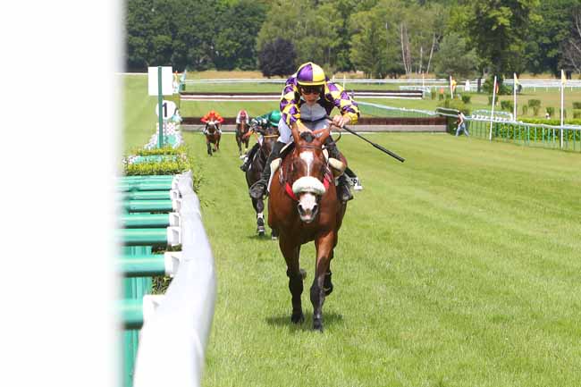 Photo d'arrivée de la course pmu PRIX COUREUSE DE NUIT à COMPIEGNE le Lundi 21 juin 2021