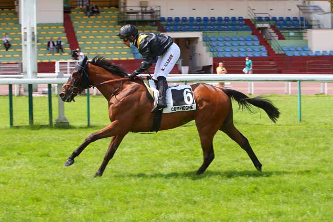 Photo d'arrivée de la course pmu PRIX BELLE ISLE à COMPIEGNE le Lundi 21 juin 2021