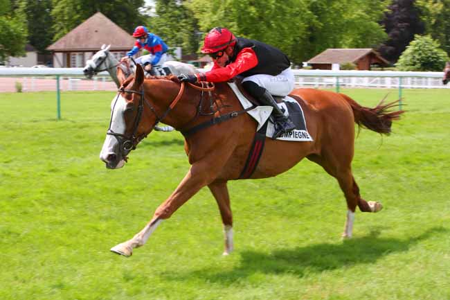 Photo d'arrivée de la course pmu PRIX JASON à COMPIEGNE le Lundi 21 juin 2021