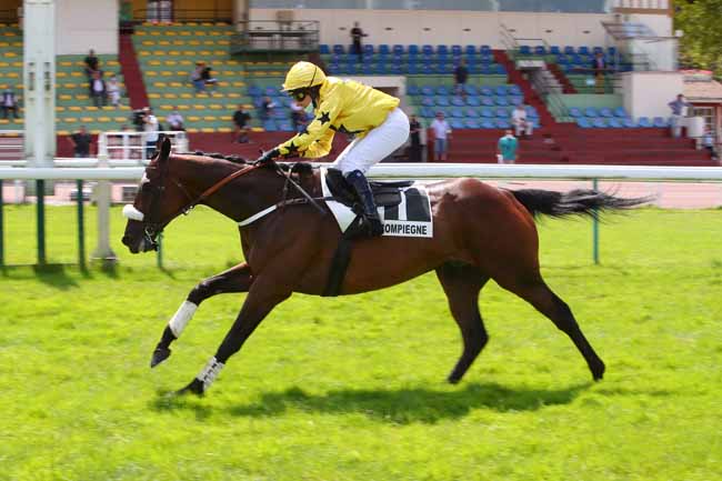 Photo d'arrivée de la course pmu PRIX TREMBLEUR à COMPIEGNE le Lundi 21 juin 2021