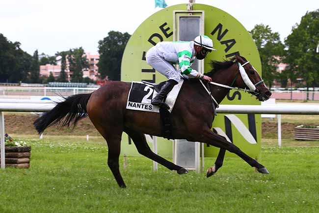 Photo d'arrivée de la course pmu PRIX BELLAMY à NANTES le Mardi 22 juin 2021