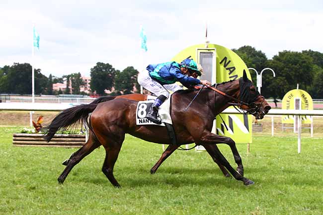 Photo d'arrivée de la course pmu GRAND PRIX ANJOU BRETAGNE - HARAS DU SAZ à NANTES le Mardi 22 juin 2021