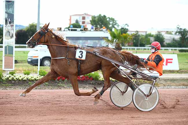 Photo d'arrivée de la course pmu PRIX JEAN-ALAIN ELIPHE à TOULOUSE le Mercredi 23 juin 2021