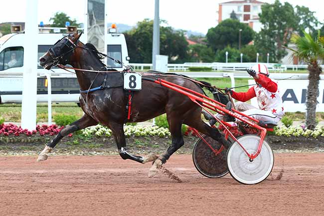 Photo d'arrivée de la course pmu PRIX DES PMU TOULOUSAINS à TOULOUSE le Mercredi 23 juin 2021