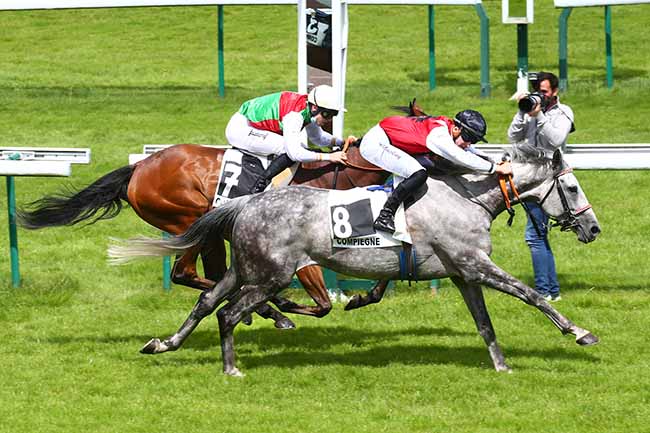 Photo d'arrivée de la course pmu PRIX DE CARLEPONT à COMPIEGNE le Mardi 6 juillet 2021