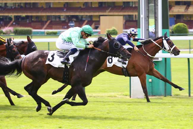 Photo d'arrivée de la course pmu PRIX DU BOUT DU QUAI à LONGCHAMP le Jeudi 8 juillet 2021
