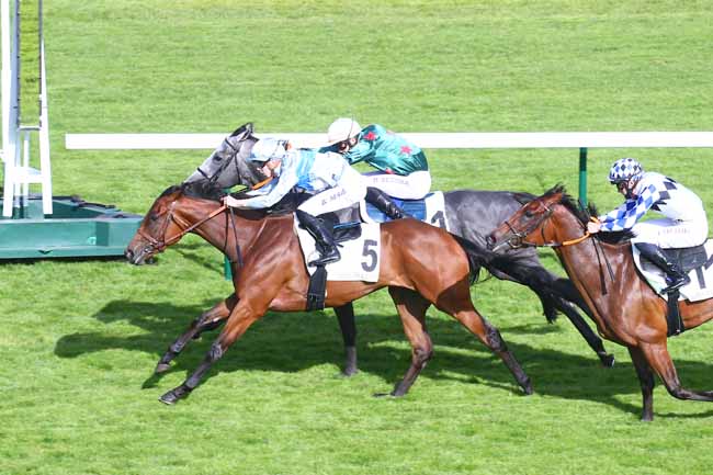 Photo d'arrivée de la course pmu PRIX DE LA TOUR SAINT-JACQUES à LONGCHAMP le Jeudi 8 juillet 2021