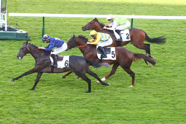Photo d'arrivée de la course pmu PRIX DU JARDIN DE L'AVRE à LONGCHAMP le Jeudi 8 juillet 2021