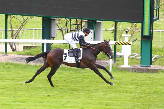 Photo d'arrivée de la course pmu PRIX VENTRE-SAINT-GRIS à SAINT CLOUD le Vendredi 9 juillet 2021