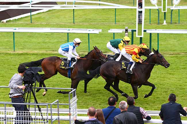 Photo d'arrivée de la course pmu PRIX BON MOT à COMPIEGNE le Samedi 10 juillet 2021
