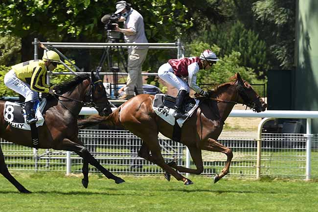 Photo d'arrivée de la course pmu PRIX DE NERIS-LES-BAINS à VICHY le Mardi 20 juillet 2021