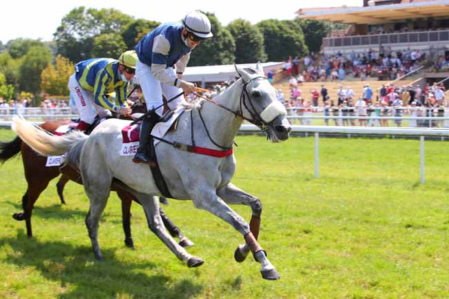 Photo d'arrivée de la course pmu PRIX VILLE DE BLONVILLE-SUR-MER à CLAIREFONTAINE le Jeudi 22 juillet 2021