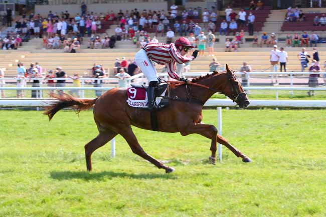 Photo d'arrivée de la course pmu PRIX VILLE DE VILLERS-SUR-MER à CLAIREFONTAINE le Jeudi 22 juillet 2021
